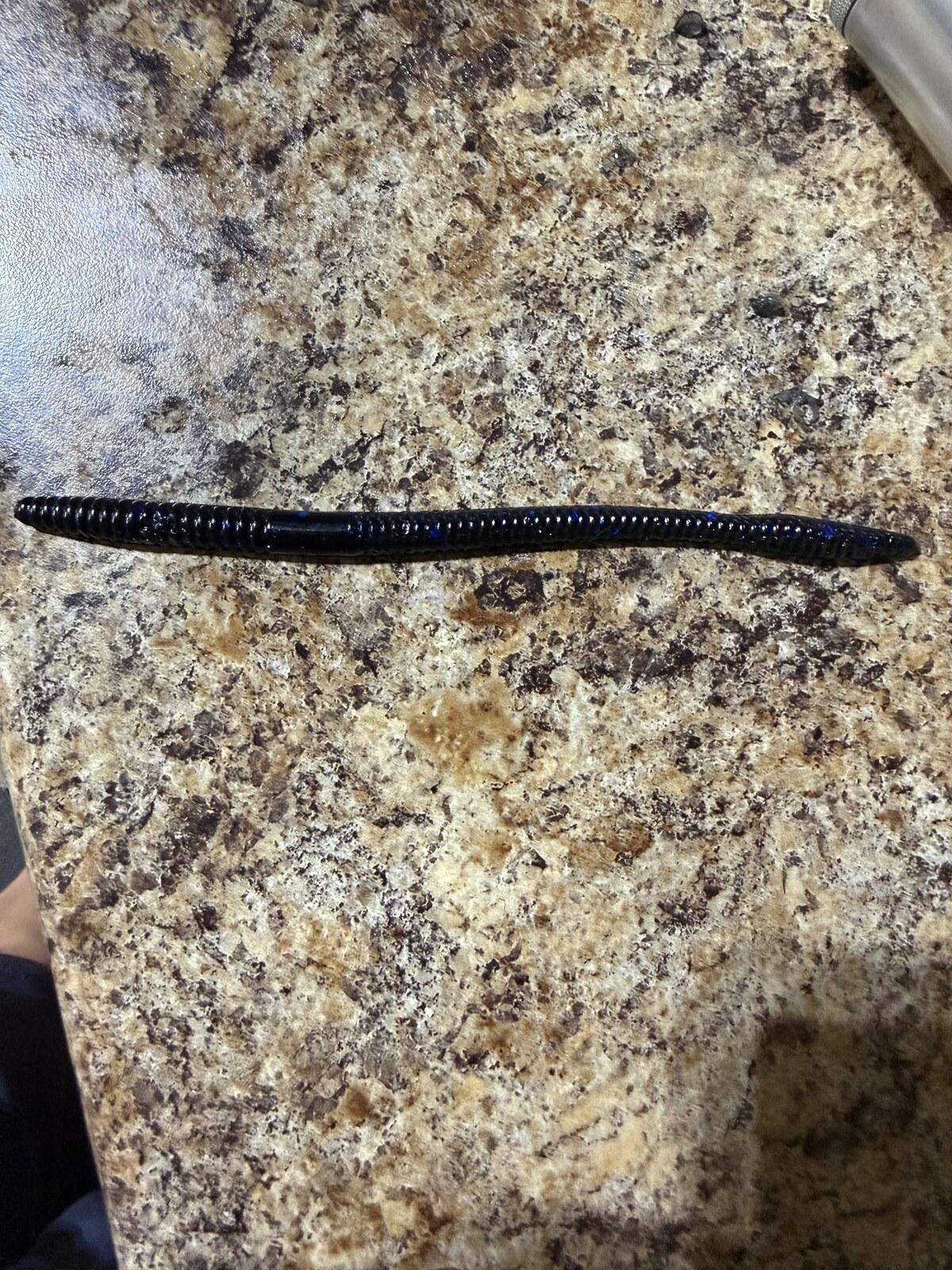 6" Worm Bait