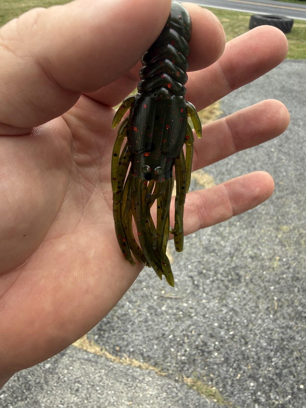 The Crawkin'