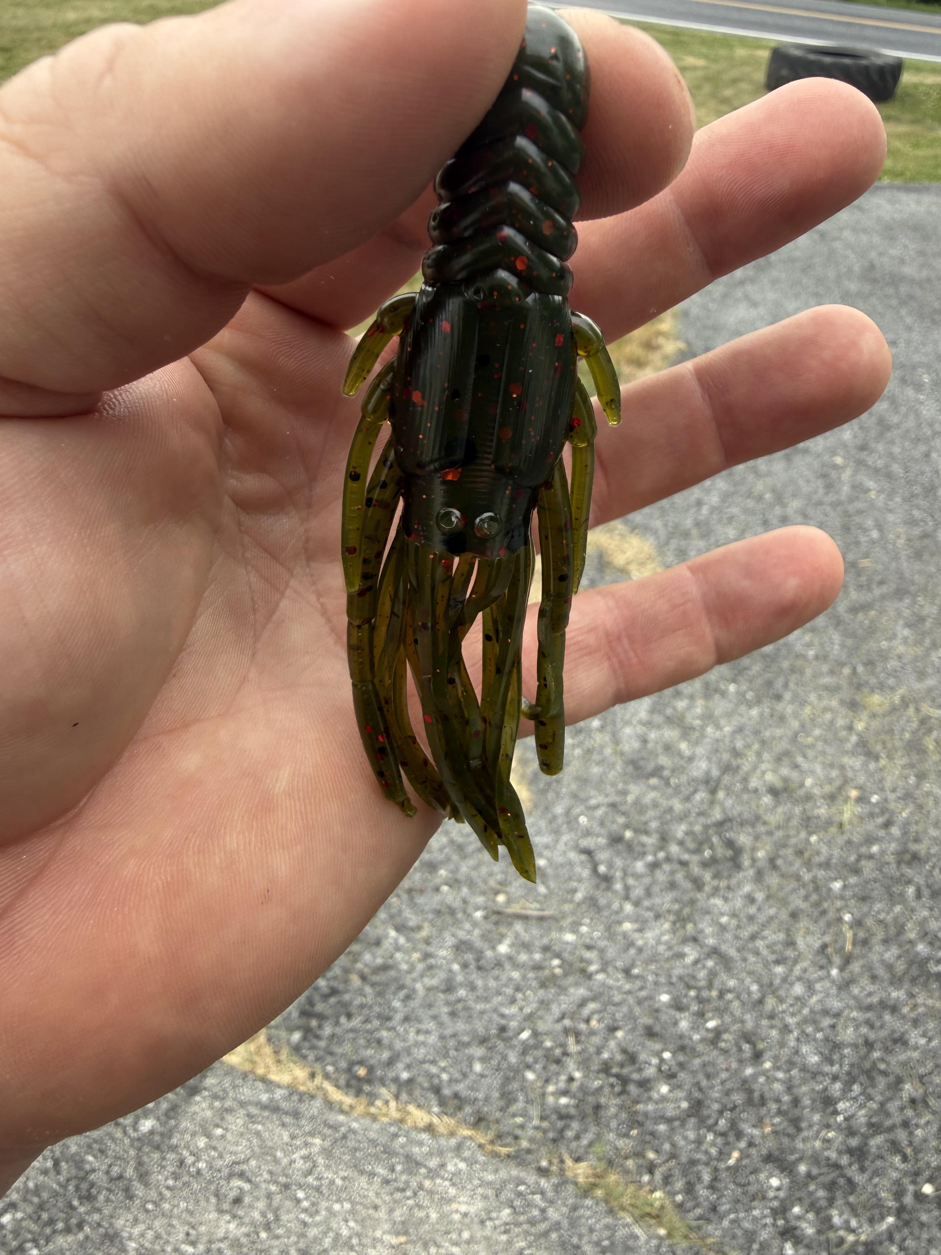 Krawken